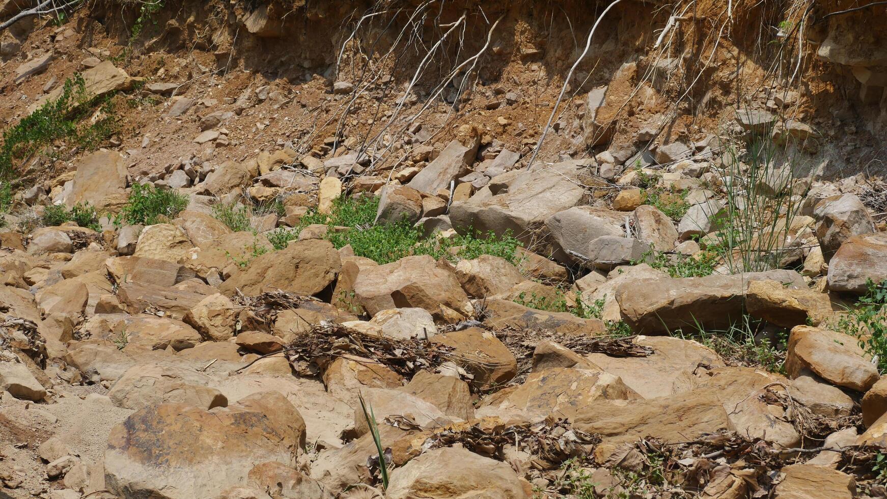 A rocky terrain with scattered stones and patches of green vegetation, showcasing natural landscape. earthy tones and textures create rugged yet serene environment, perfect for outdoor exploration photo
