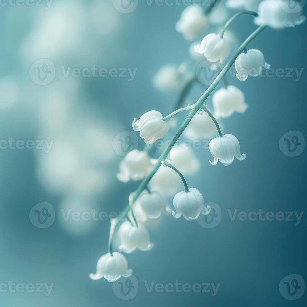 Lily of the valley, white flowers, blurry, blurry, blurry, blurry, blurry, photo