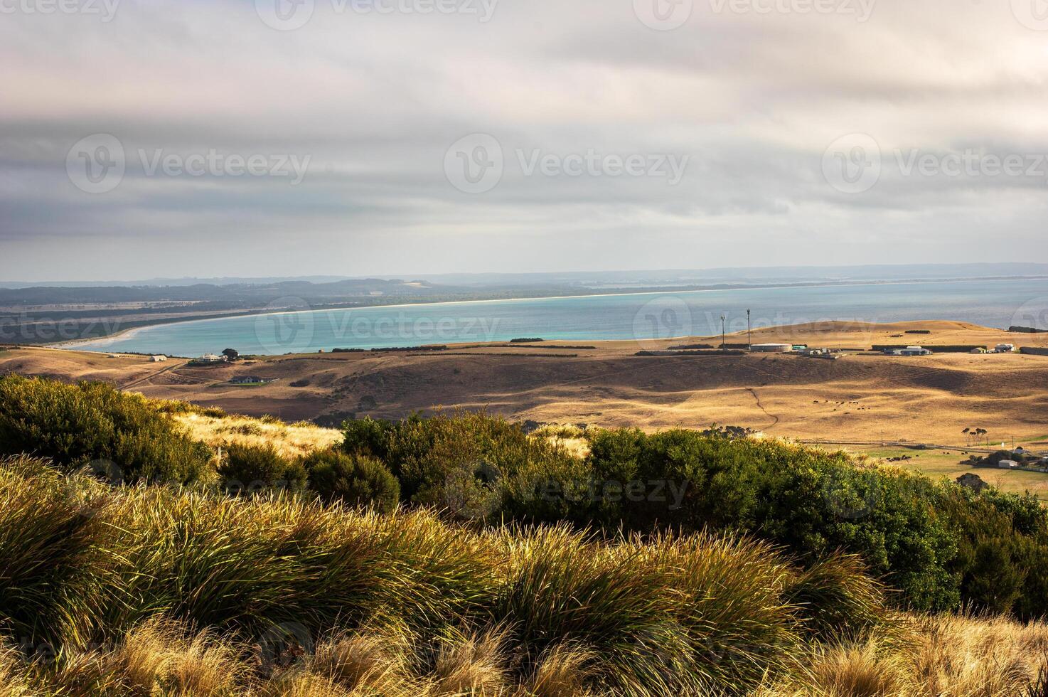 View from on top of the nut photo