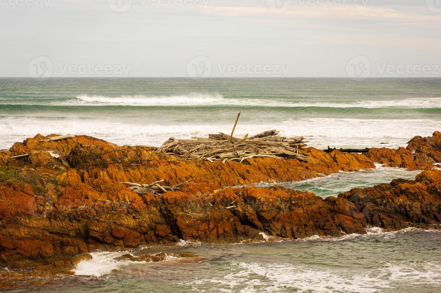 Washed up trees at edge of the world Tasmania photo