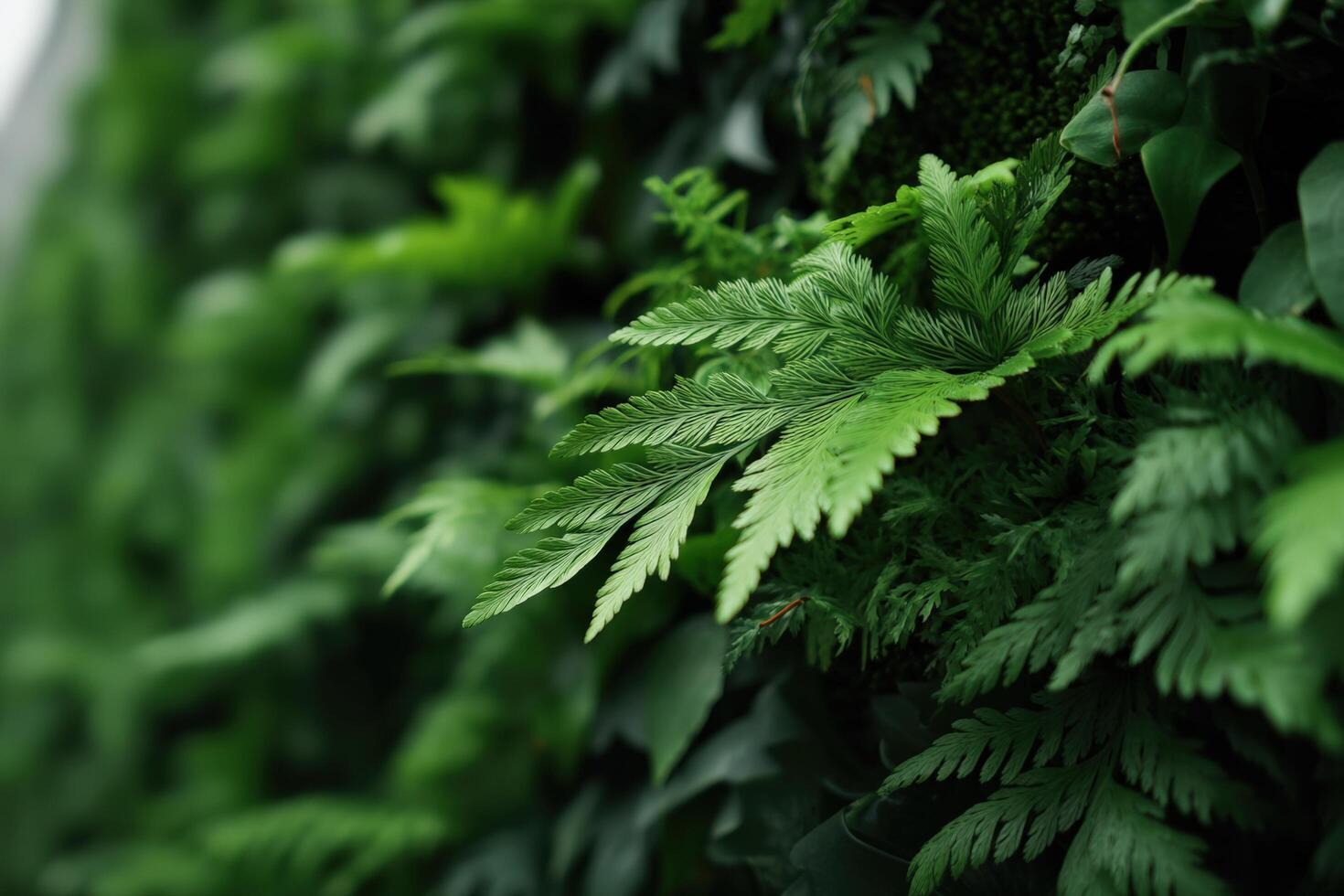 Lush dark green plants create a vibrant natural wall in an indoor space during daytime photo