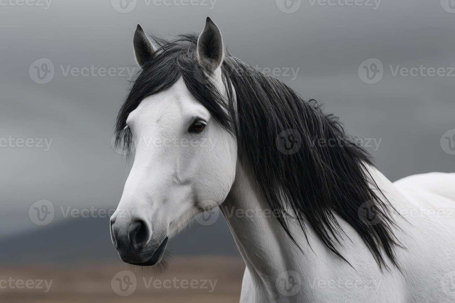 Majestic white horse with flowing mane in a dramatic cloudy landscape photo