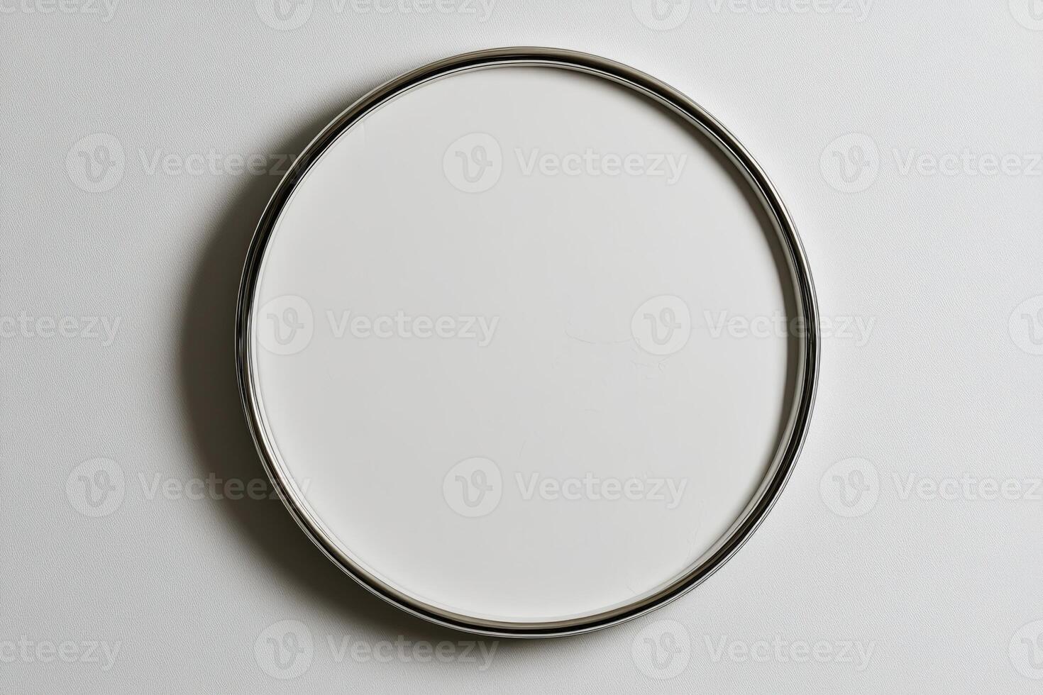 Circular white plate with silver rim displayed on a plain background in a neutral setting photo