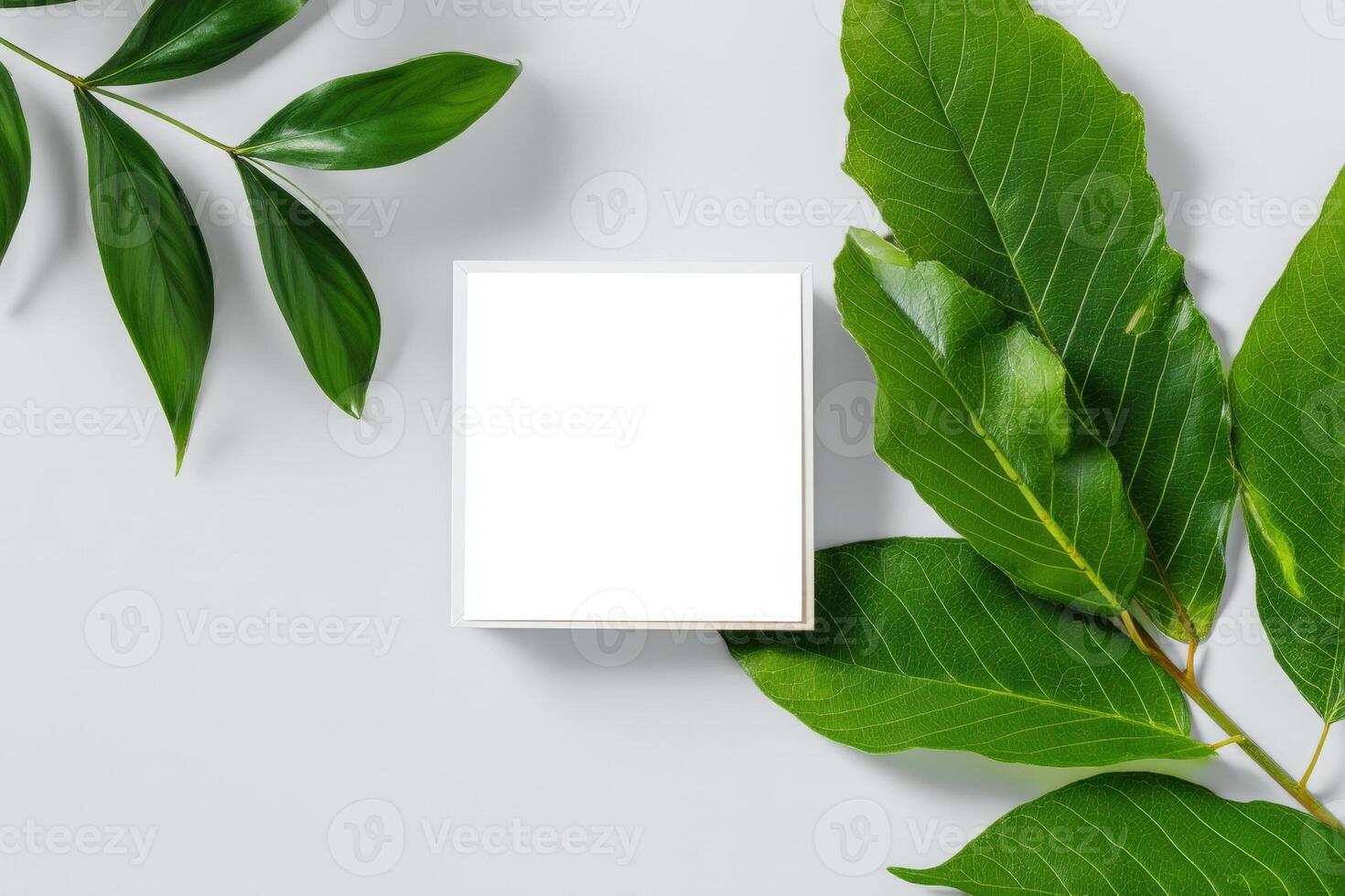 Empty square frame on light background with green leaves for creative display or decoration photo