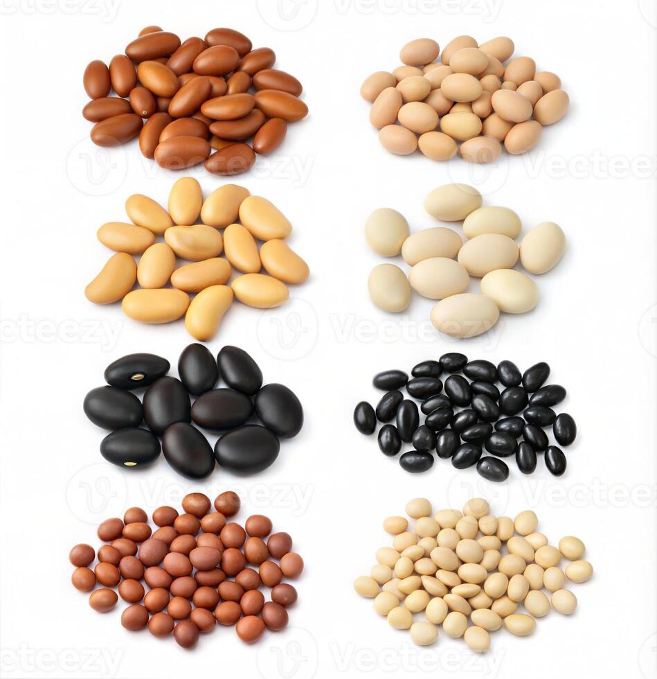 Colorful Bean Varieties Arranged in Groups on Plain Background photo