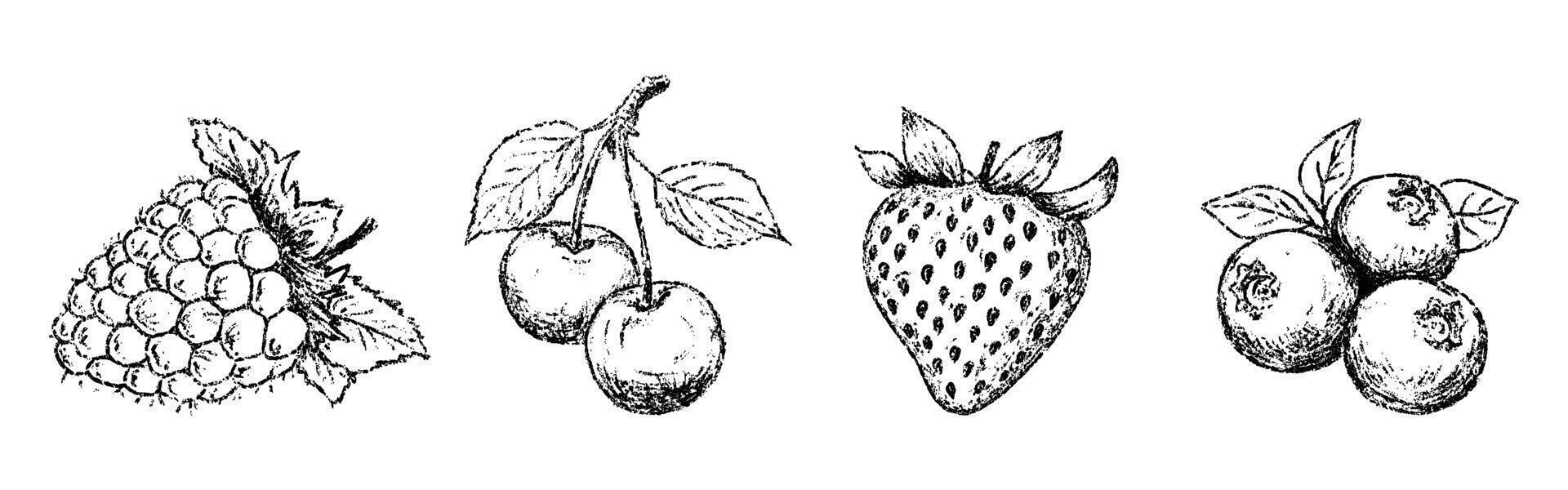 Sketch crayon summer berry set. Hand drawn scribble doodle dessert wild berries cherry, strawberry, blueberry, raspberry. Pencil texture illustration. vector