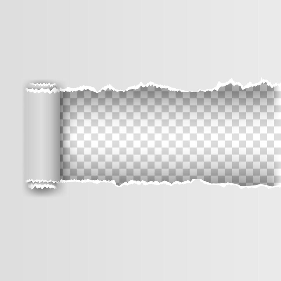 white torn paper with ripped edges vector