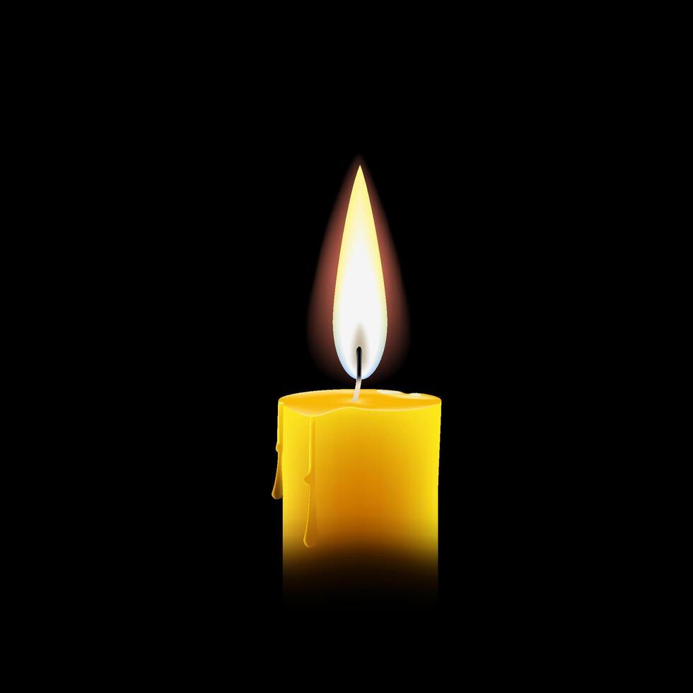 Burning candle on a black background vector