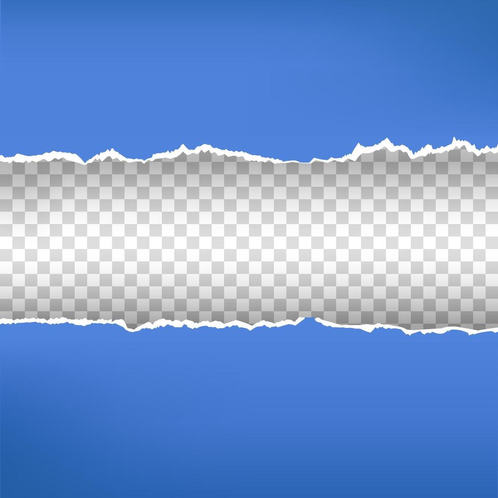 Torn paper pieces back with space vector