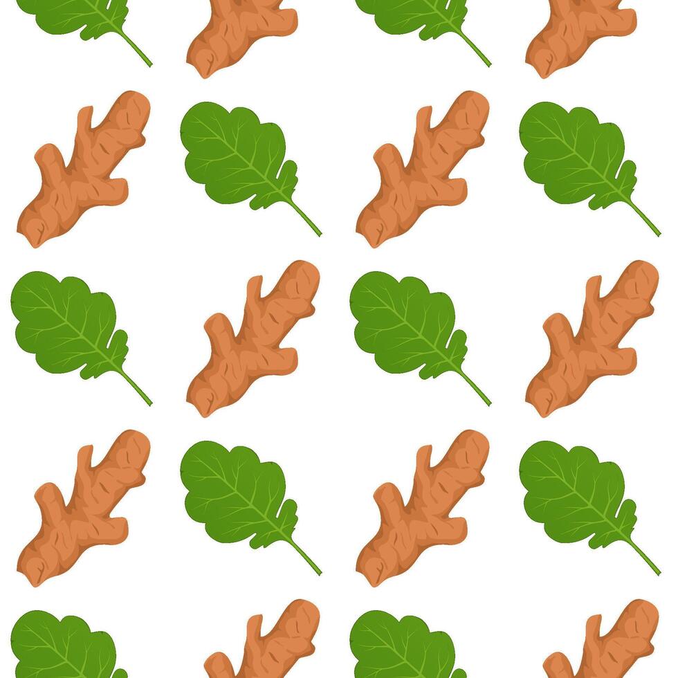 Ginger roots and ginger leaves on white vector