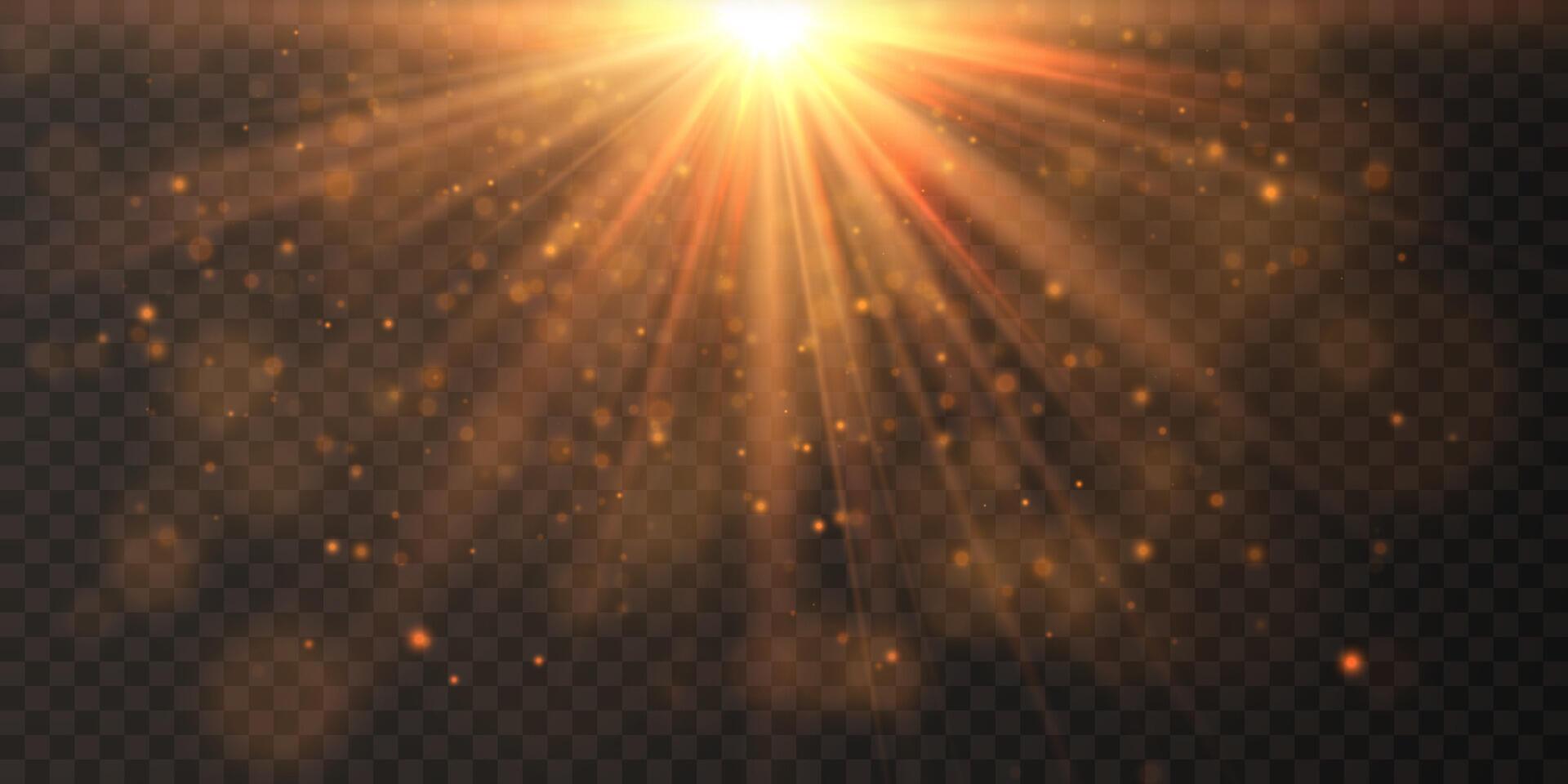Bright flash effect rays and glare Light light blur effect. vector