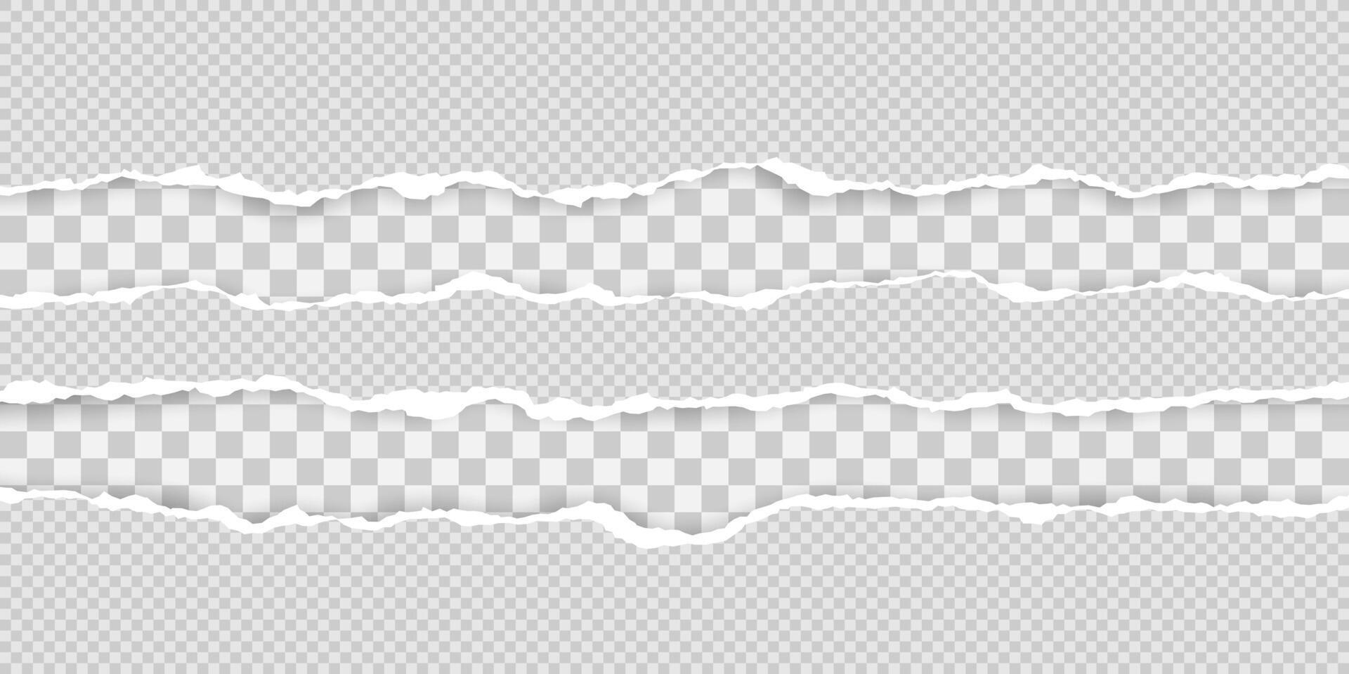 Torn paper edge. Ripped squared paper strips. illustration vector