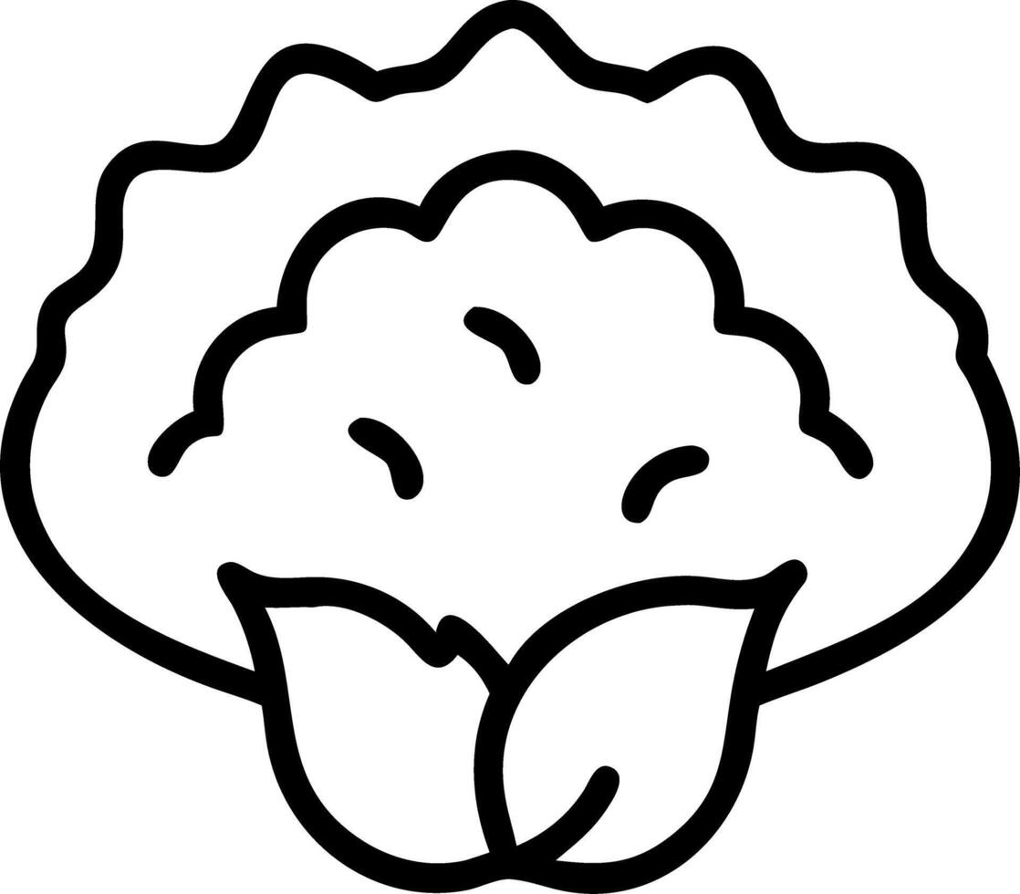 Illustration of a cauliflower head with two leaves in a simple black outline drawing style design vector