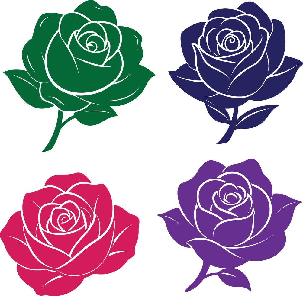 rose flowers color illustration vector
