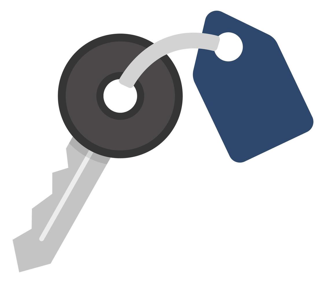 Door key flat icon isolated on white background. vector