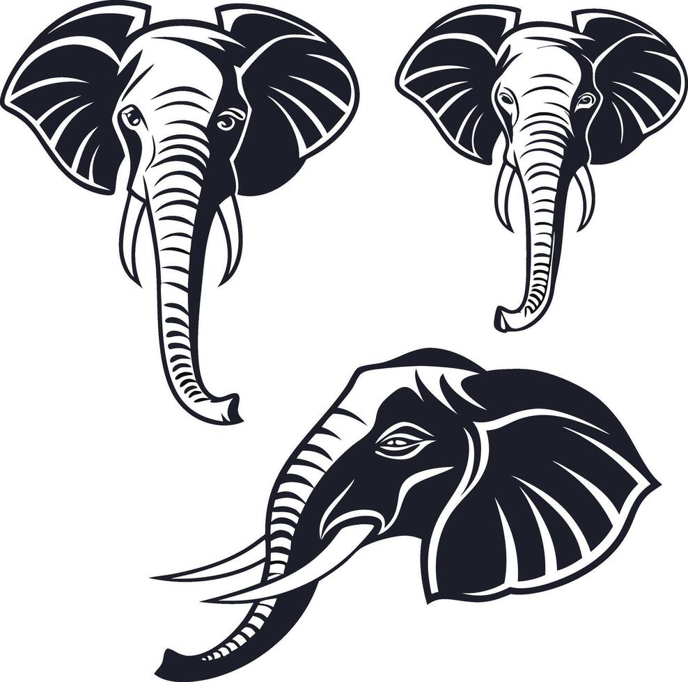 Elephant Head Graphic Set vector