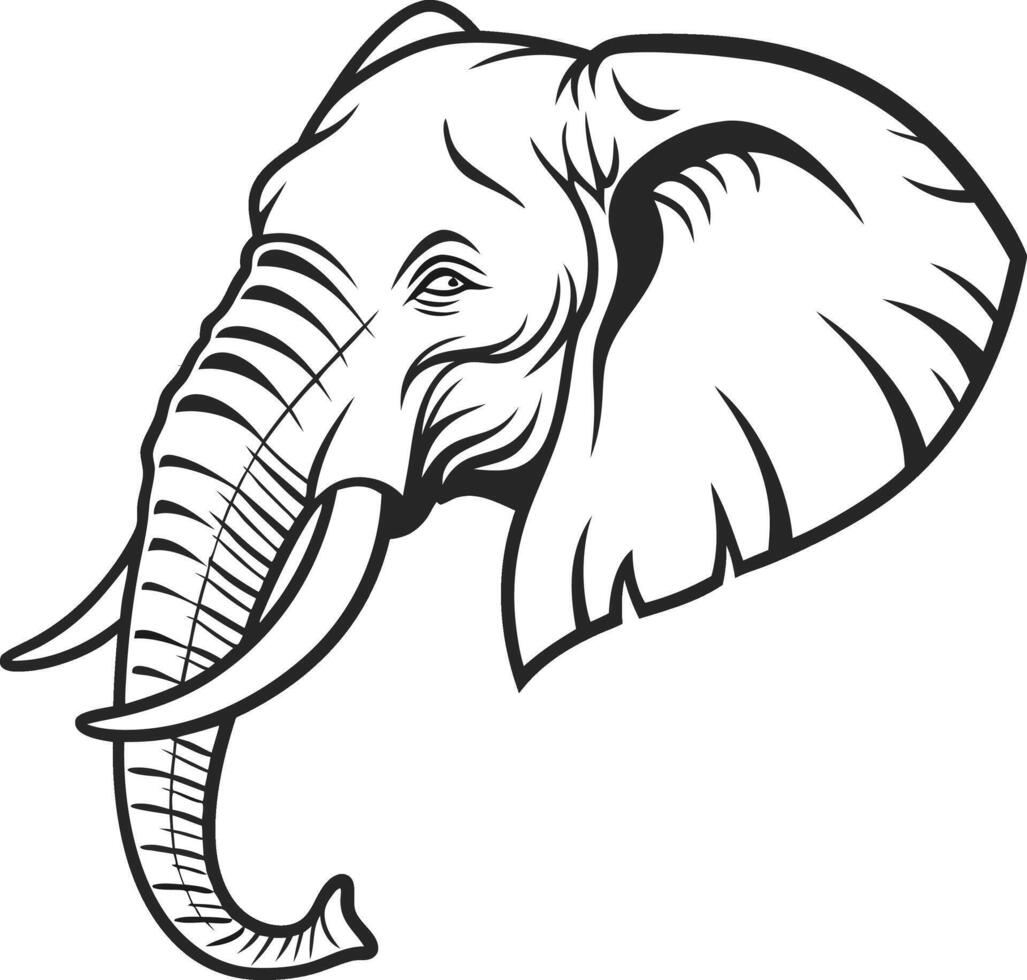 Elephant Face Wildlife vector
