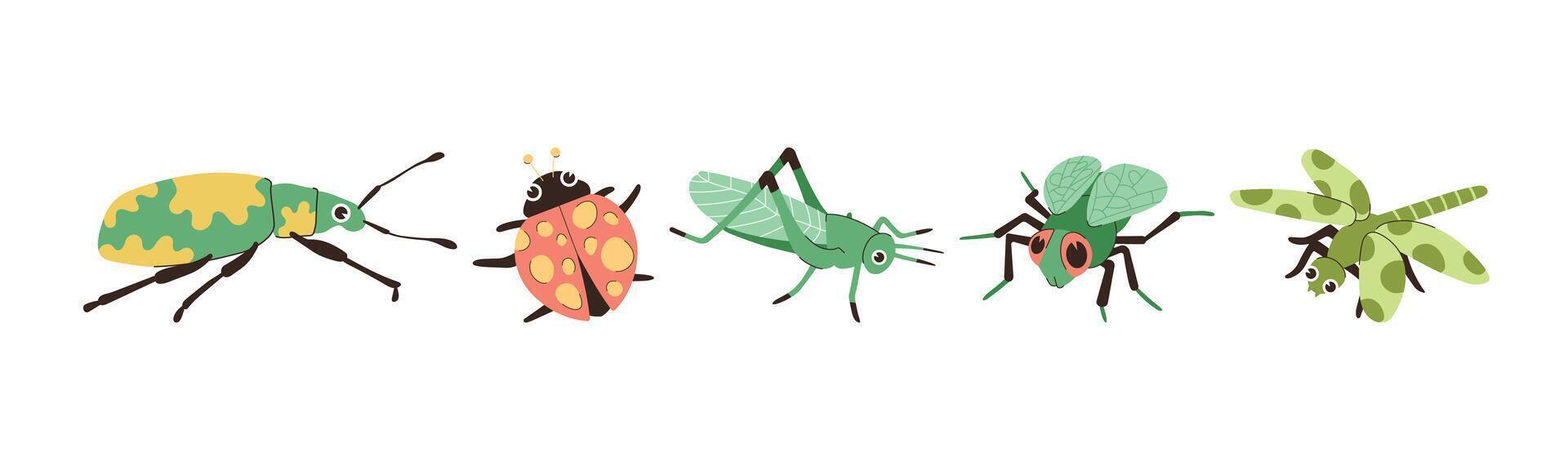 A colorful cartoonish illustration features various insects including a beetle, ladybug, grasshopper, fly and dragonfly, perfect for educational or whimsical designs. vector