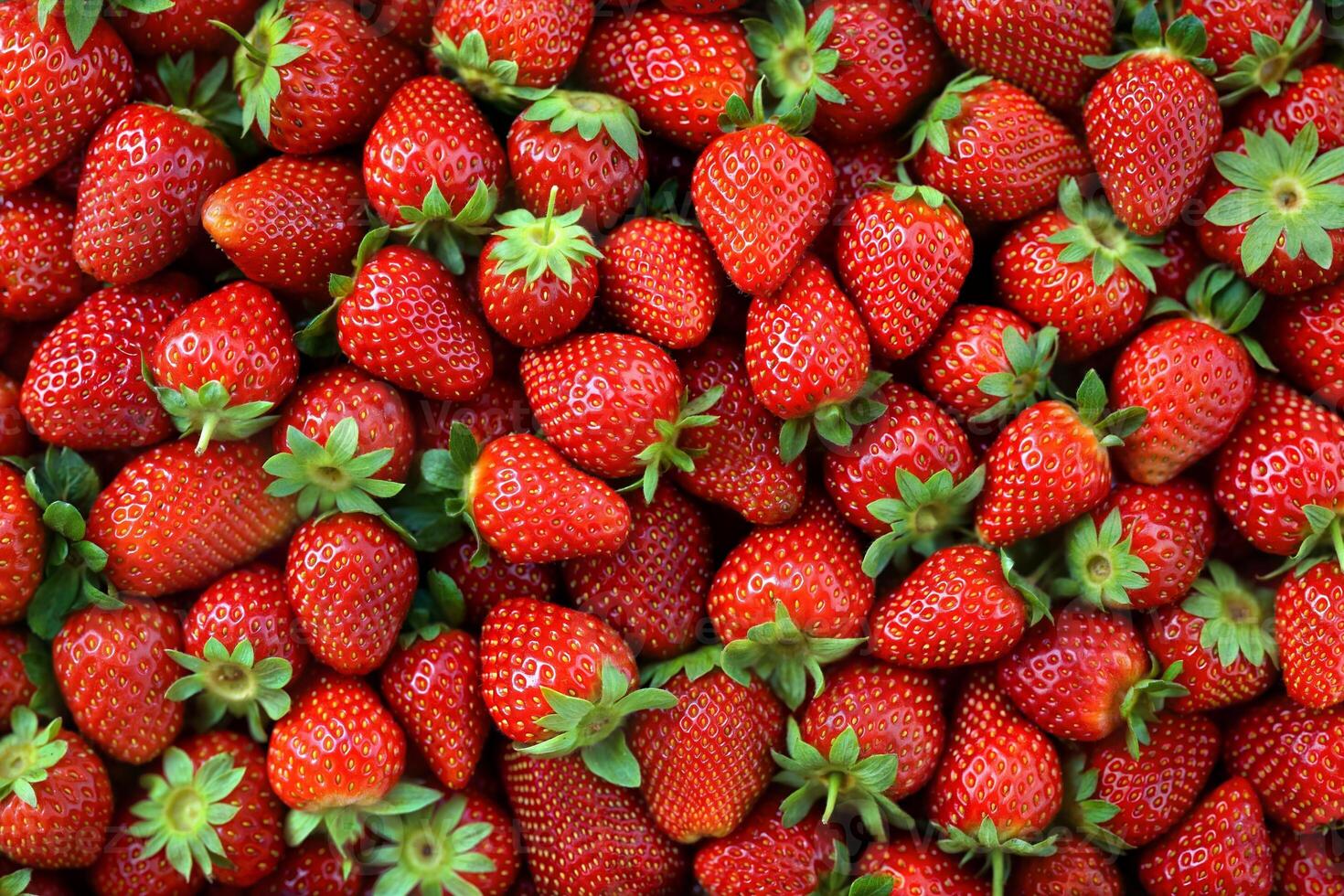 Vivid Red Strawberries Packed in a Colorful Textured Pile photo