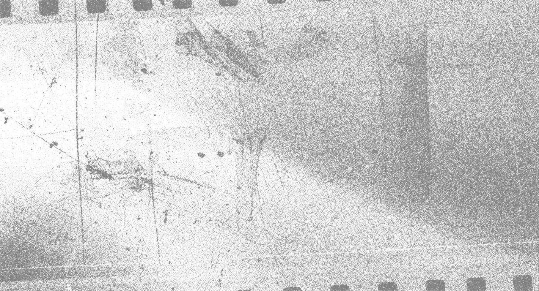 A textured filter reveals the charm of overexposed film, showcasing faded patterns and scratches that evoke memories of bygone photography styles. vector