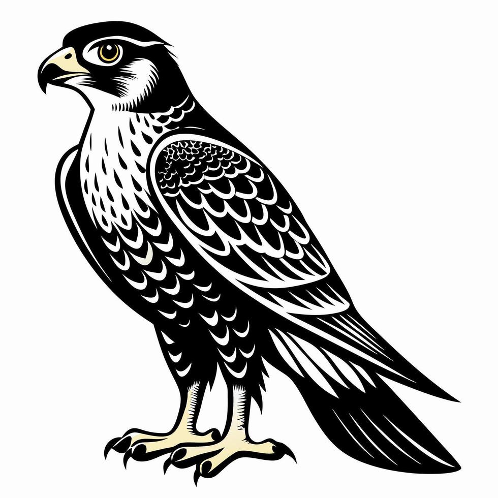 Intricate Falcon Illustration Majestic Bird of Prey Art with Detailed Plumage Design vector