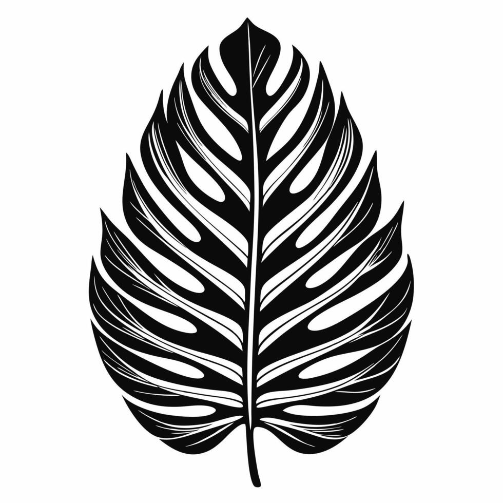 Black and White Monstera Leaf Illustration on White Background vector