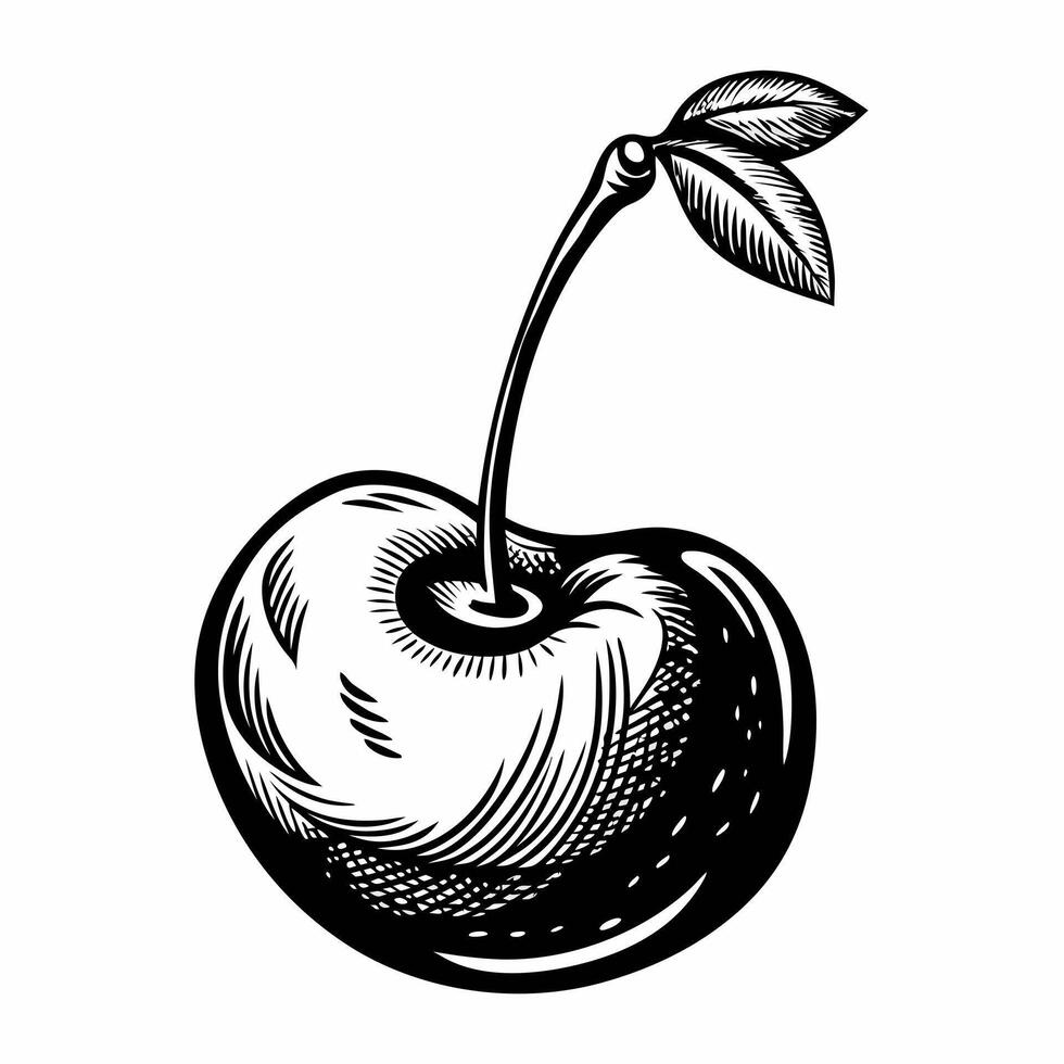 Hand Drawn Cherry Illustration in Vintage Style with Leaf Accent vector