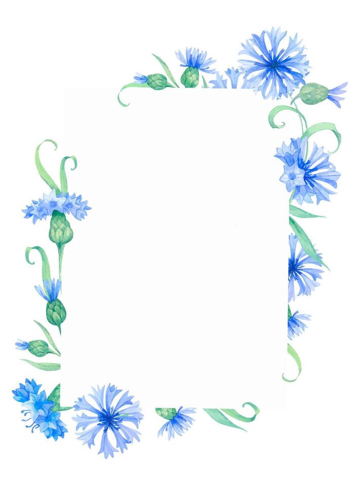 Frame with cornflower flowers. illustration with blue flowersm Vintage square frame with herbs, flowers and leaves vector