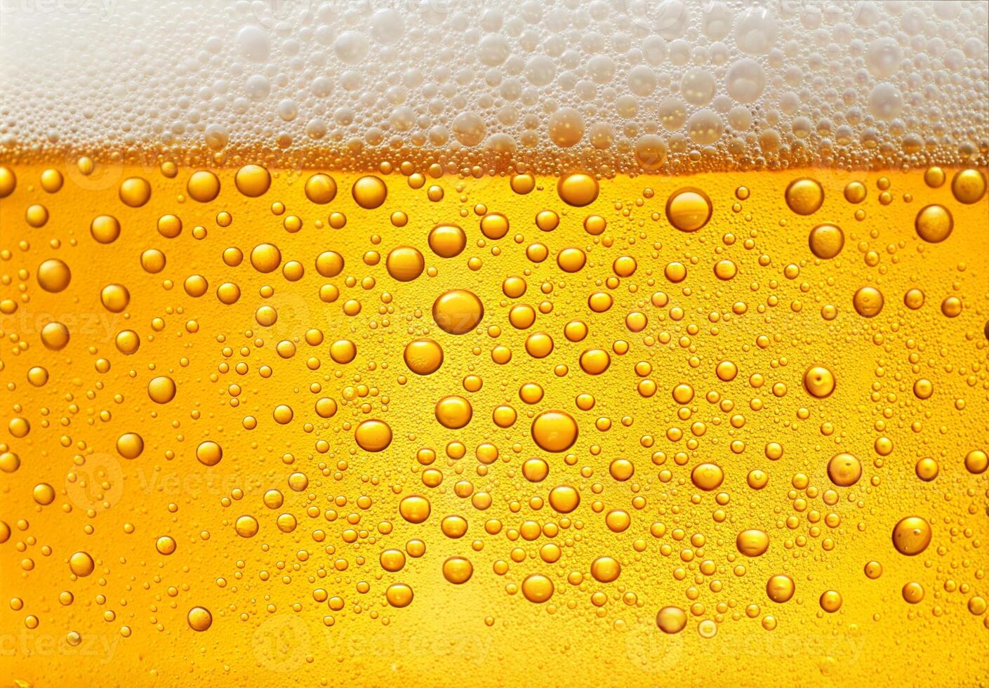 High Resolution Image of Frothy Beer Head photo