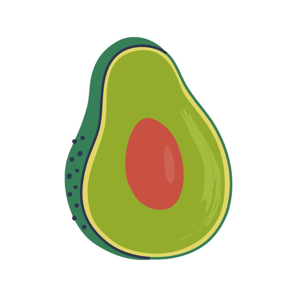 Half of fresh avocado. Textured avocado fruit in section with pit, ripe and ready to eat. Healthy natural raw vegan food. Hand drawn flat design illustration. vector