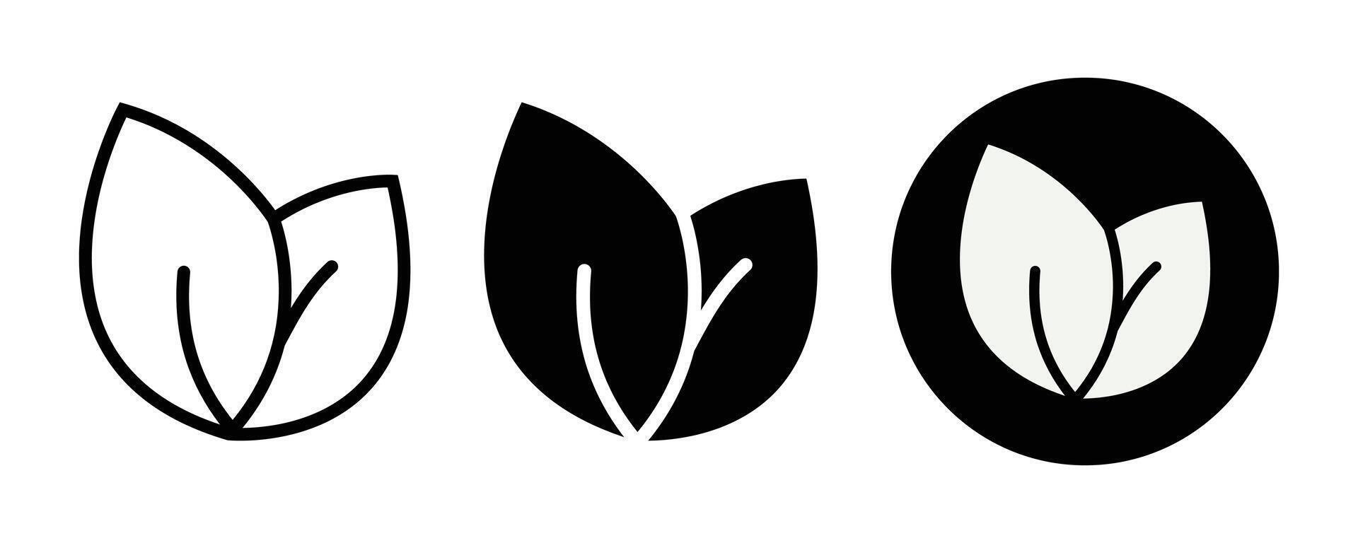 Three Variations of Simple Leaf Icons Line Art, Solid, and Circular vector