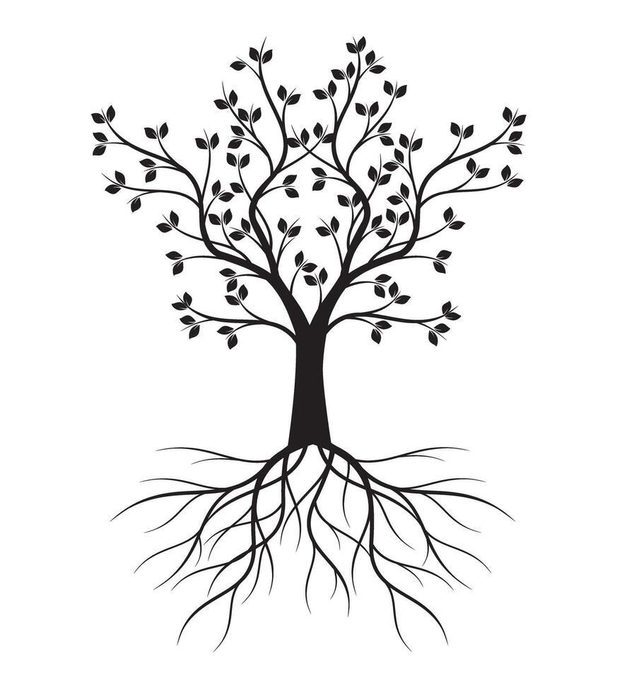 Shape of Tree with Leaves and Roots. Outline Illustration. vector