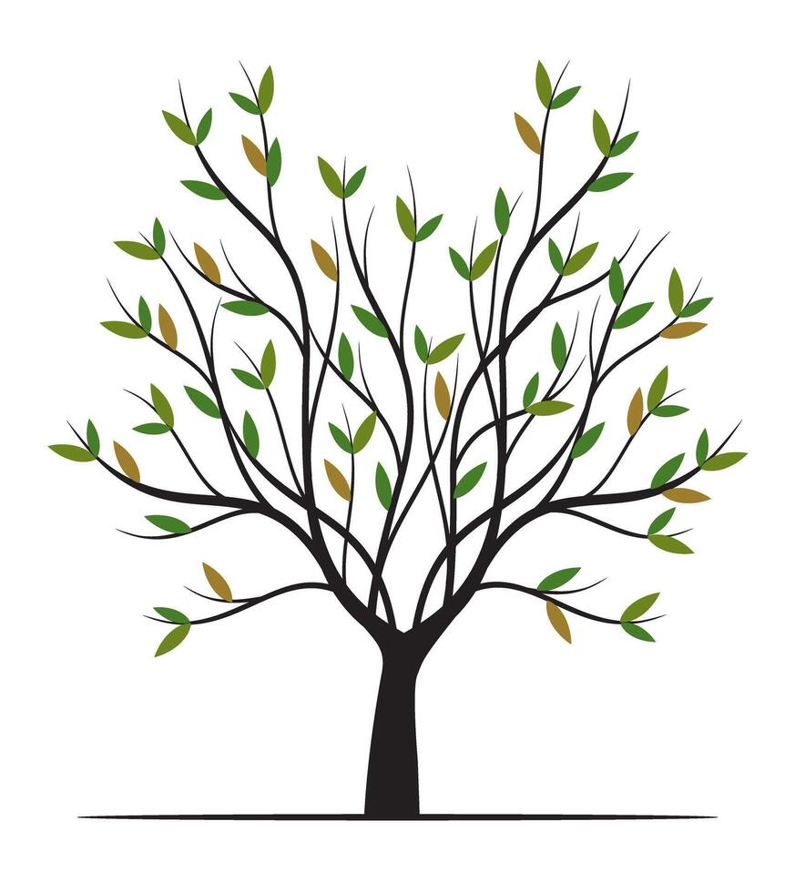 Green Tree with Leaves and Roots. outline Illustration. vector