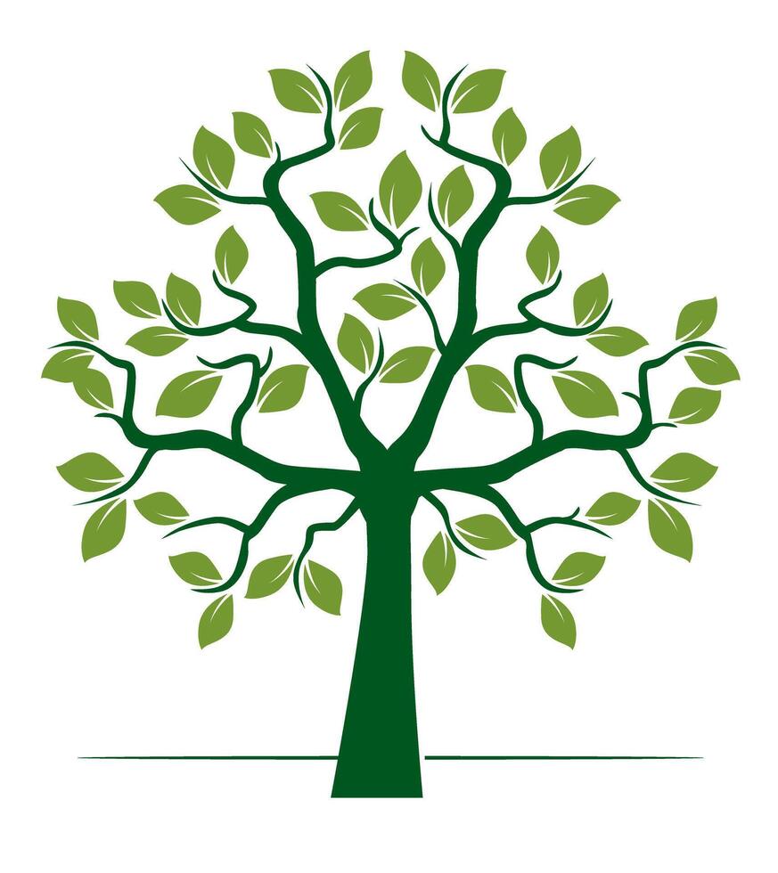 Green Tree with Leaves. Outline Illustration. vector