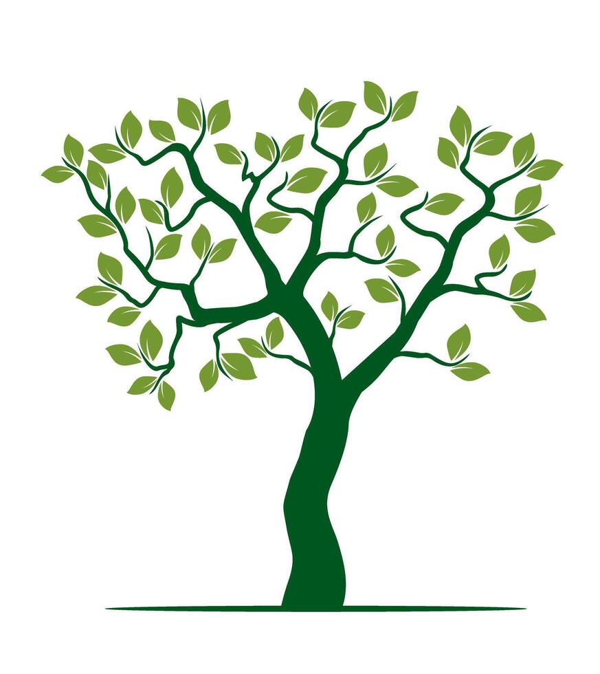 Shape of green Tree with Leaves and Roots. outline Illustration. vector