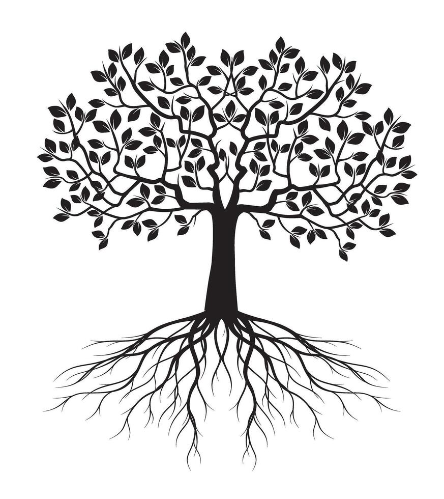 Shape of Black Tree with Leaves and Roots. outline Illustration. vector