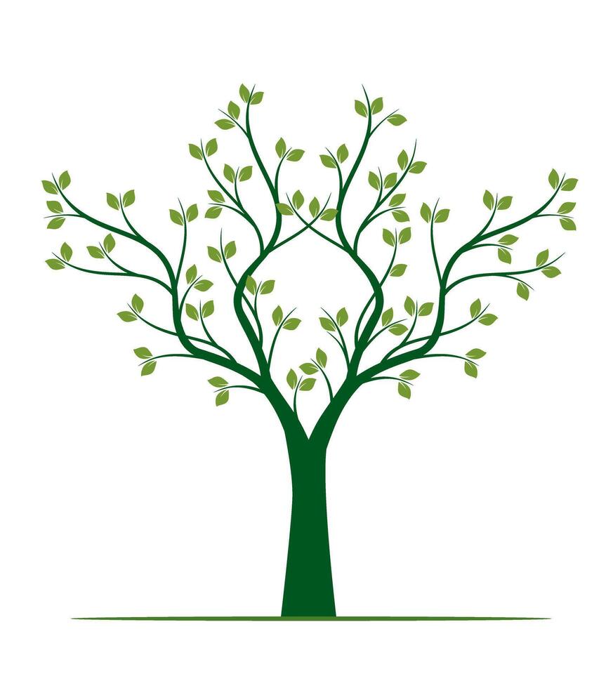 Shape of green Tree with Leaves. outline Illustration. vector