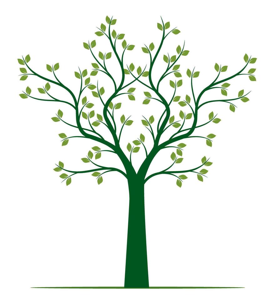 Shape of green Tree with Leaves and Roots. vector