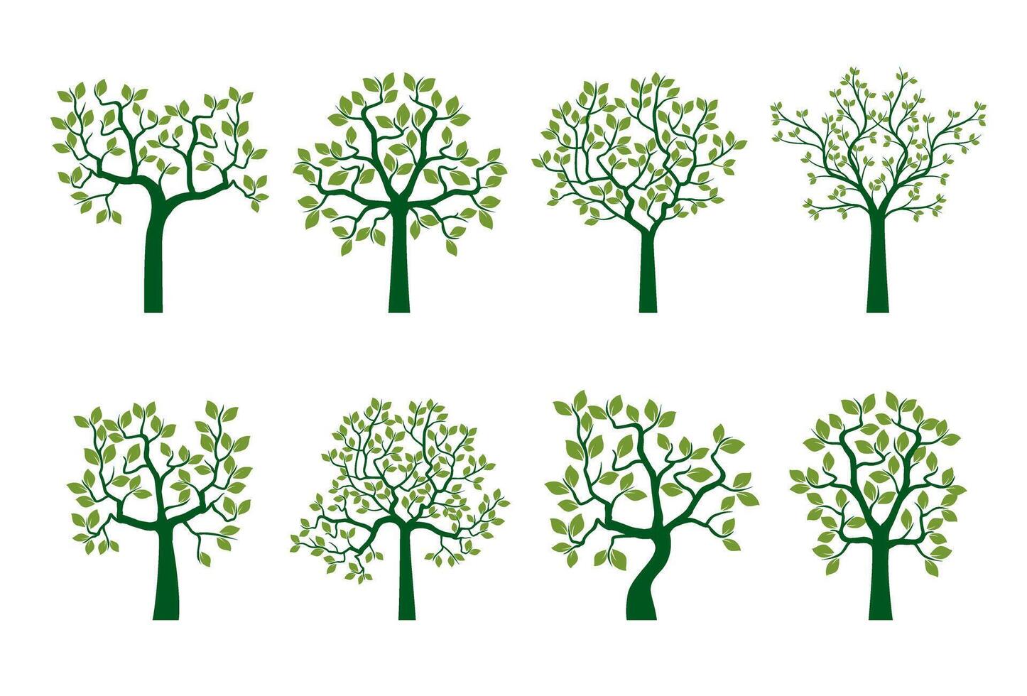Set Trees with Leaves. Outline Illustration. vector