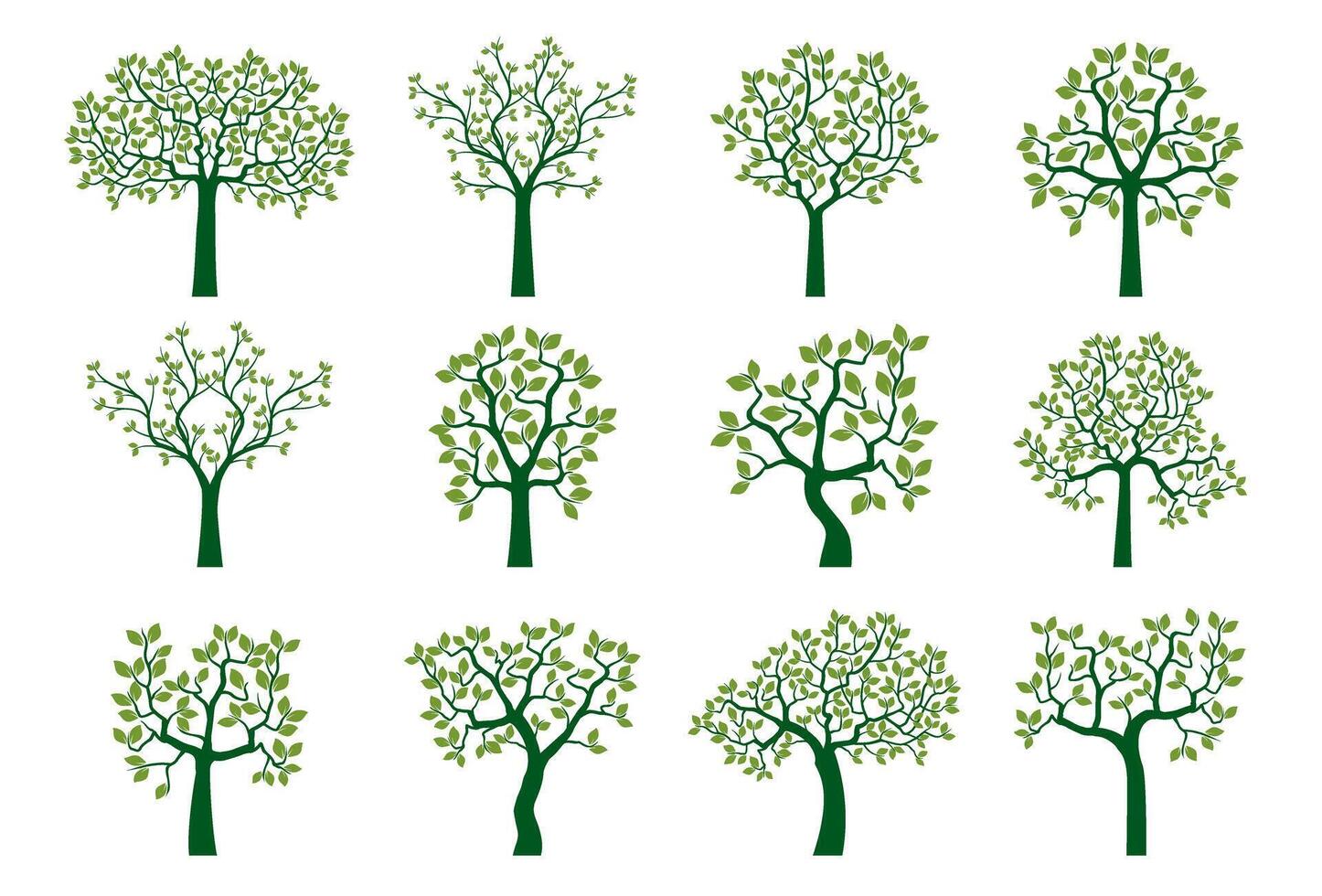 Set green Young Trees. Illustration. vector