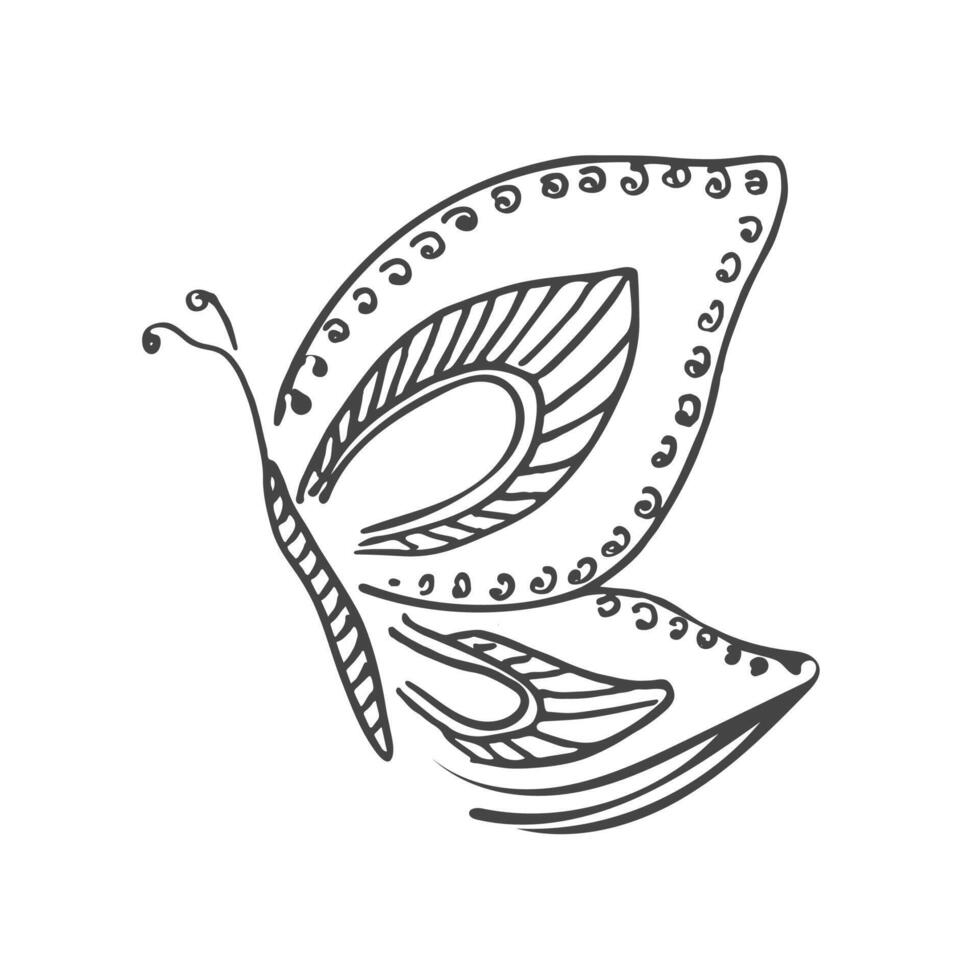 Butterfly insect sketch. illustration on white background vector
