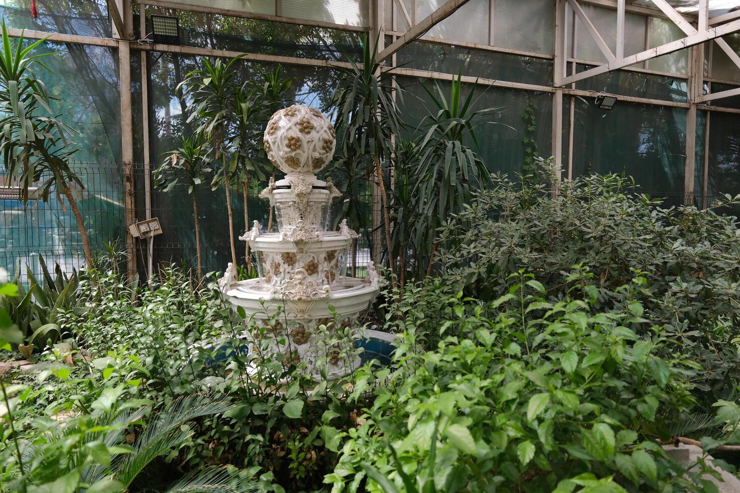 A fountain in a greenhouse with plants and trees photo