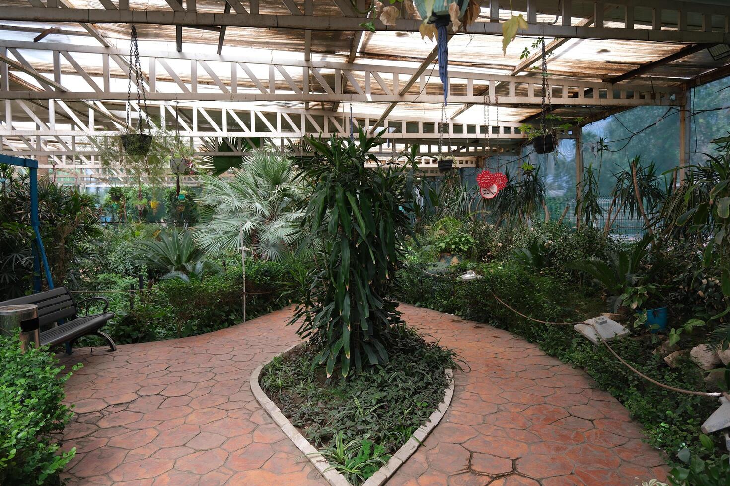 A walkway with plants and a bench photo