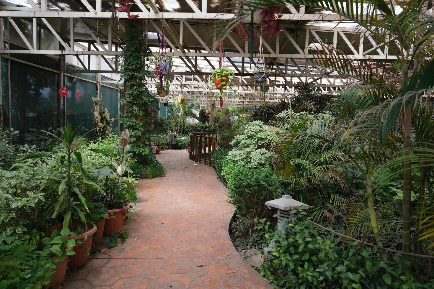 A walkway in a greenhouse photo