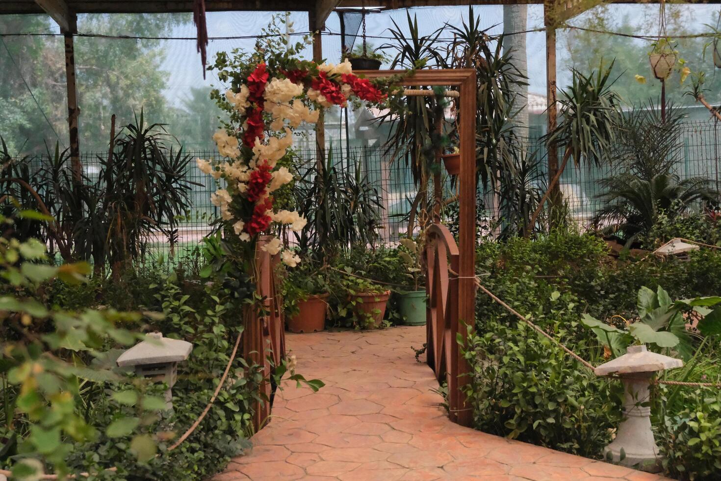 A walkway with flowers and plants in a greenhouse photo