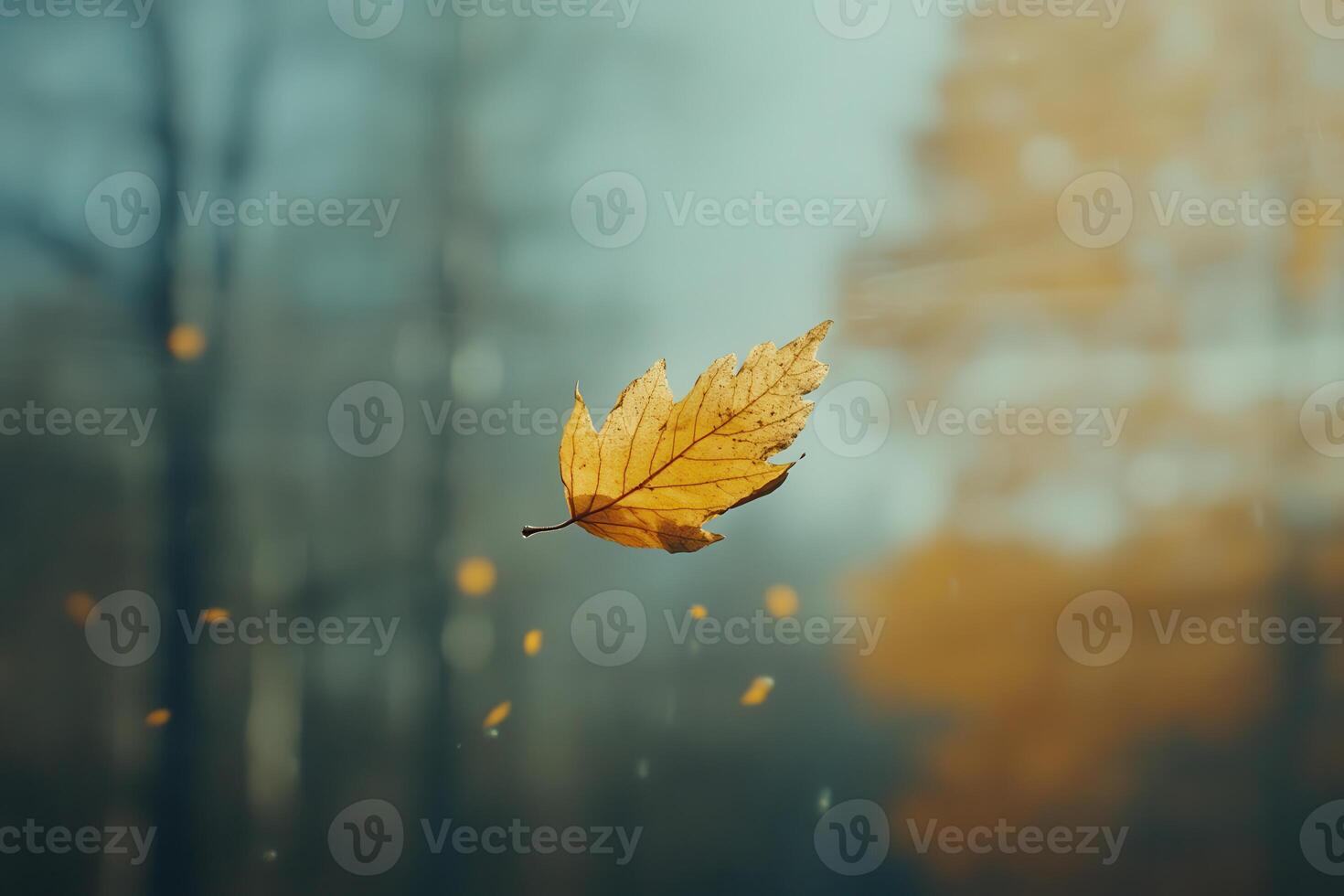A Single Golden Leaf Falling Through the Air photo