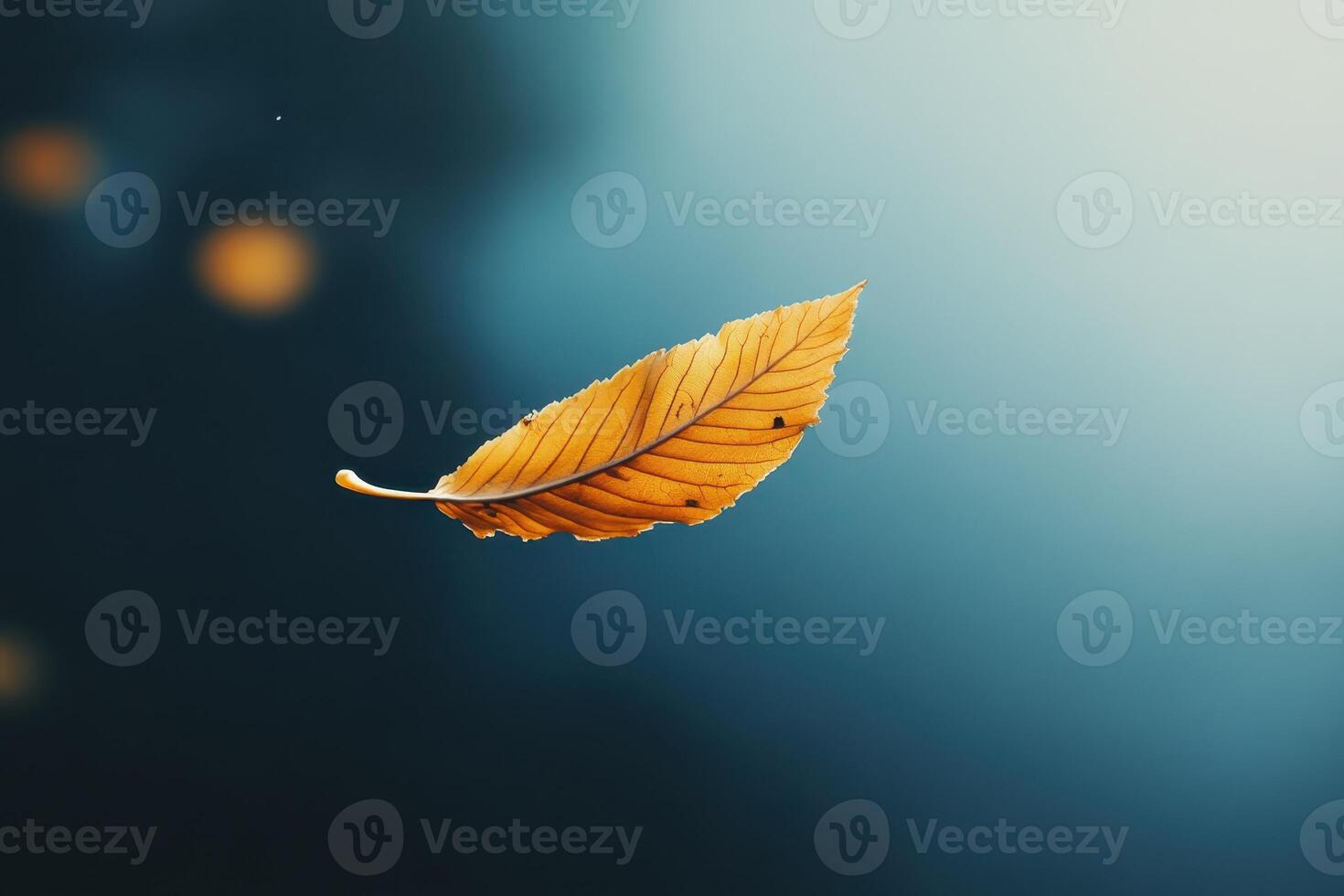 Single Golden Leaf Falling Against a Blue Gradient Background photo