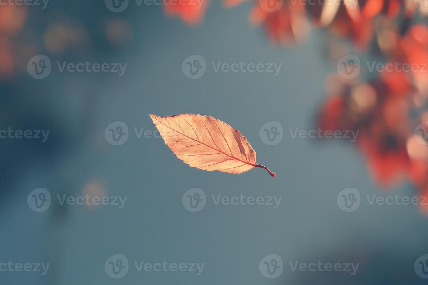 A Single Brown Leaf Floating Against a Blue Sky photo