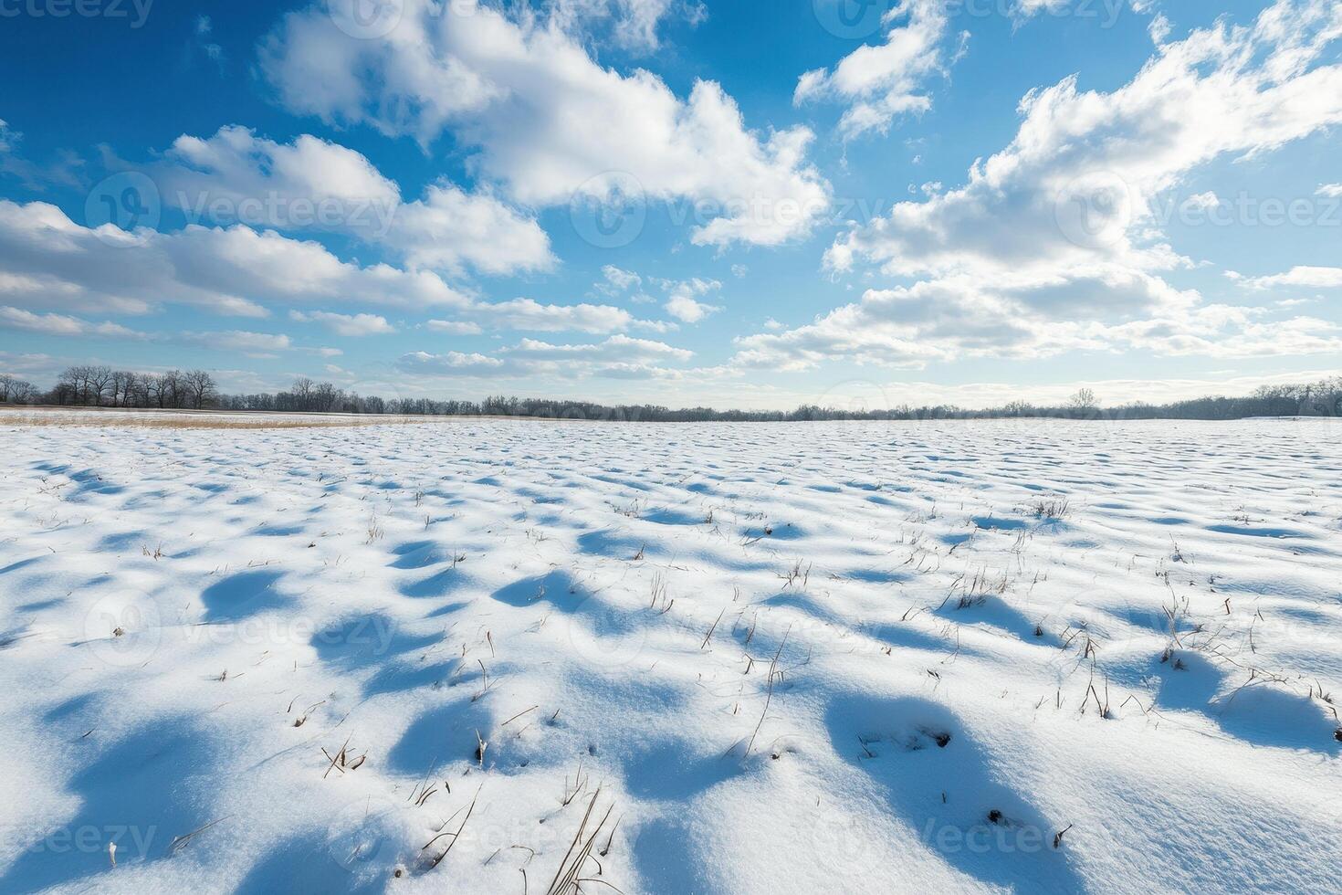 Snow-Covered Field with Blue Sky and Clouds photo