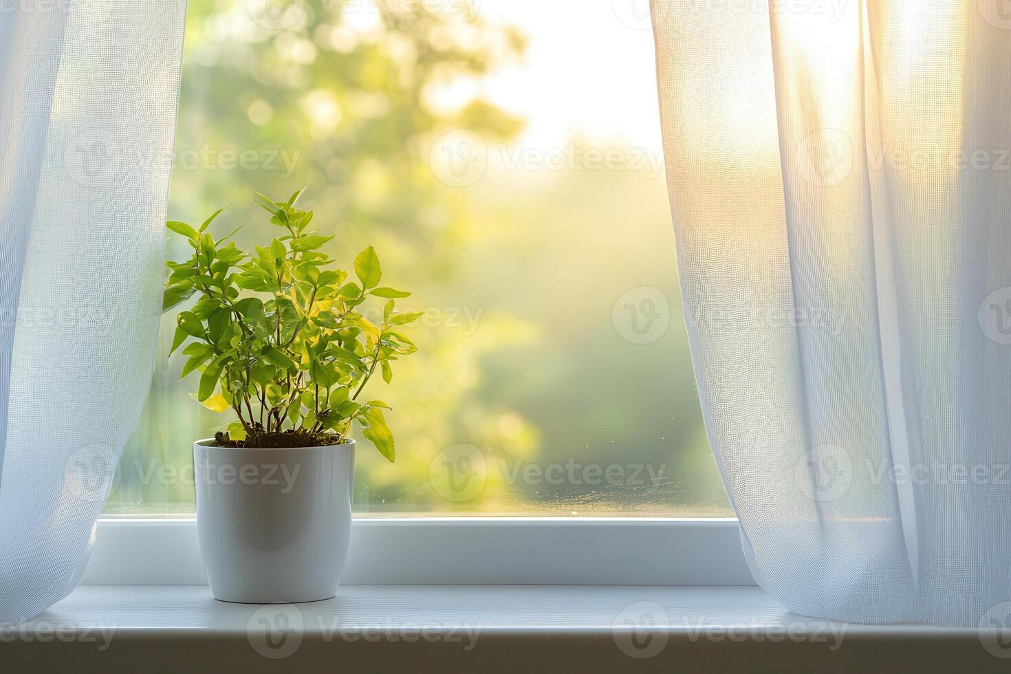 A potted plant on a windowsill with sunlight streaming through sheer curtains. photo